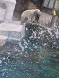 天王寺動物園に投稿された画像（2026/4/21）