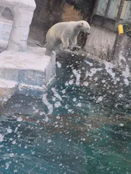 天王寺動物園に投稿された画像（2026/4/21）