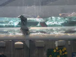 サンシャイン水族館に投稿された画像（2026/4/21）