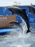 仙台うみの杜水族館に投稿された画像（2026/4/21）