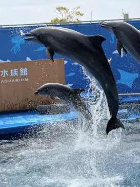 仙台うみの杜水族館に投稿された画像（2026/4/21）