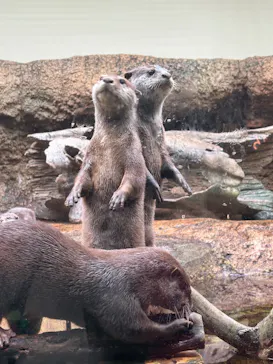 仙台うみの杜水族館に投稿された画像（2026/4/21）