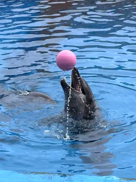 仙台うみの杜水族館に投稿された画像（2026/4/21）
