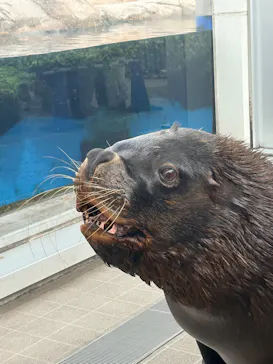 仙台うみの杜水族館に投稿された画像（2026/4/21）