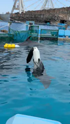 名古屋港水族館に投稿された画像（2026/4/21）