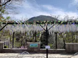 箱根ガラスの森美術館に投稿された画像（2026/4/21）