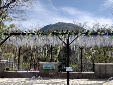 箱根ガラスの森美術館に投稿された画像（2026/4/21）