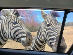 東北サファリパークに投稿された画像（2026/4/21）