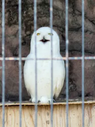 東武動物公園に投稿された画像（2026/4/21）