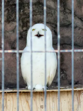 東武動物公園に投稿された画像（2026/4/21）