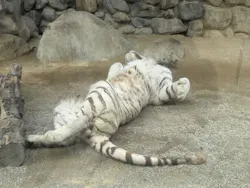 東武動物公園に投稿された画像（2026/4/21）