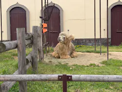 東武動物公園に投稿された画像（2026/4/21）
