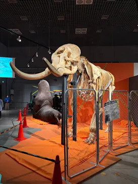 特別展「超危険生物展　科学で挑む生き物の本気」に投稿された画像（2026/4/21）