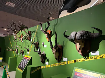 特別展「超危険生物展　科学で挑む生き物の本気」に投稿された画像（2026/4/21）