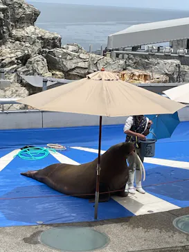 大分マリーンパレス水族館 「うみたまご」に投稿された画像（2026/4/21）