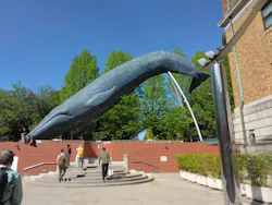 国立科学博物館に投稿された画像（2026/4/21）