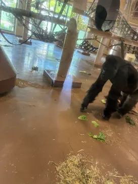 名古屋市東山動植物園に投稿された画像（2026/4/21）