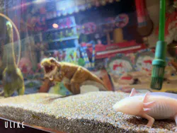 西武園ゆうえんちに投稿された画像（2026/4/21）