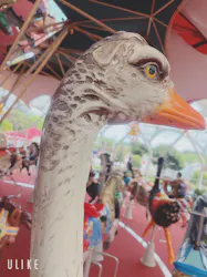 西武園ゆうえんちに投稿された画像（2026/4/21）