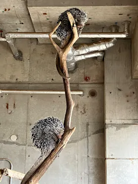 霞ケ浦 どうぶつとみんなのいえに投稿された画像（2026/4/21）