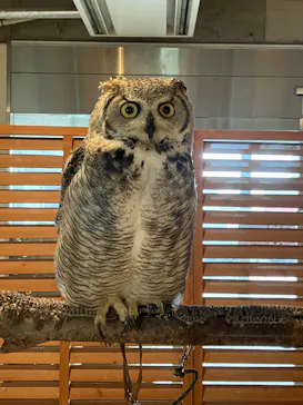 霞ケ浦 どうぶつとみんなのいえに投稿された画像（2026/4/21）