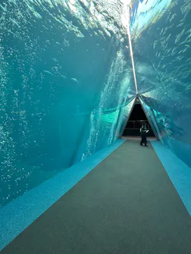 環境水族館アクアマリンふくしまに投稿された画像（2026/4/21）