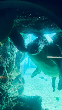 箱根園水族館に投稿された画像（2026/4/21）