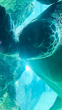 箱根園水族館に投稿された画像（2026/4/21）