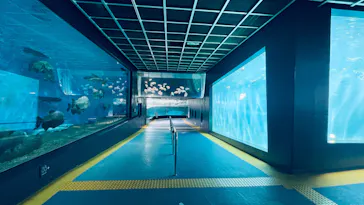 箱根園水族館に投稿された画像（2026/4/21）