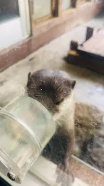 箱根園水族館に投稿された画像（2026/4/21）
