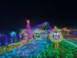 さがみ湖MORI MORIに投稿された画像（2026/4/21）