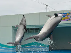 南知多ビーチランド＆南知多おもちゃ王国に投稿された画像（2026/4/21）