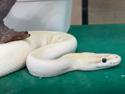 南知多ビーチランド＆南知多おもちゃ王国に投稿された画像（2026/4/21）