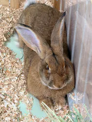 南知多ビーチランド＆南知多おもちゃ王国に投稿された画像（2026/4/21）