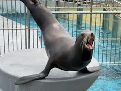 南知多ビーチランド＆南知多おもちゃ王国に投稿された画像（2026/4/21）