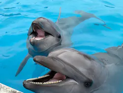 南知多ビーチランド＆南知多おもちゃ王国に投稿された画像（2026/4/21）