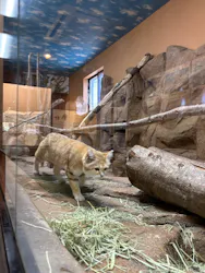 那須どうぶつ王国に投稿された画像（2026/4/21）