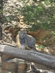 那須どうぶつ王国に投稿された画像（2026/4/21）