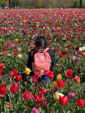 滋賀農業公園ブルーメの丘に投稿された画像（2026/4/21）