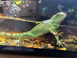 体感型動物園iZooに投稿された画像（2026/4/21）
