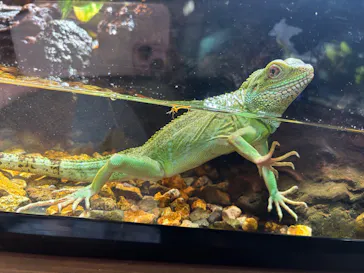 体感型動物園iZooに投稿された画像（2026/4/21）