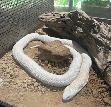 体感型動物園iZooに投稿された画像（2026/4/21）