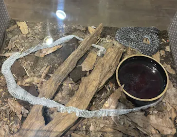 体感型動物園iZooに投稿された画像（2026/4/21）