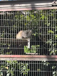 名古屋市東山動植物園に投稿された画像（2026/4/21）