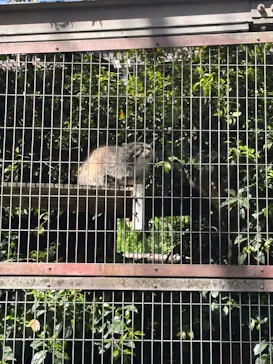 名古屋市東山動植物園に投稿された画像（2026/4/21）