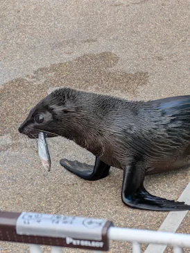京都水族館×ニデック京都タワーに投稿された画像（2026/4/21）