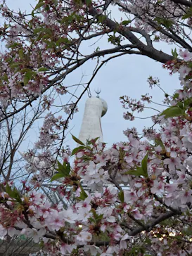 万博記念公園に投稿された画像（2026/4/21）