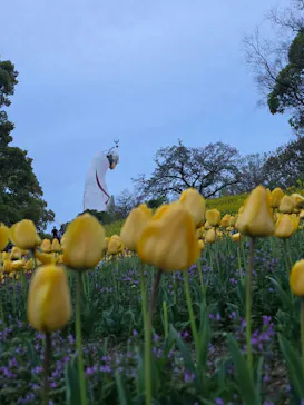 万博記念公園に投稿された画像（2026/4/21）