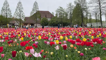滋賀農業公園ブルーメの丘に投稿された画像（2026/4/21）