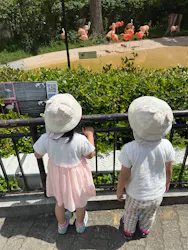 天王寺動物園に投稿された画像（2026/4/21）